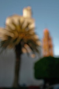 Abstract photo of San Miguel de Allende palm with church spires