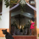 A wedding in Troncones beach, Mexico